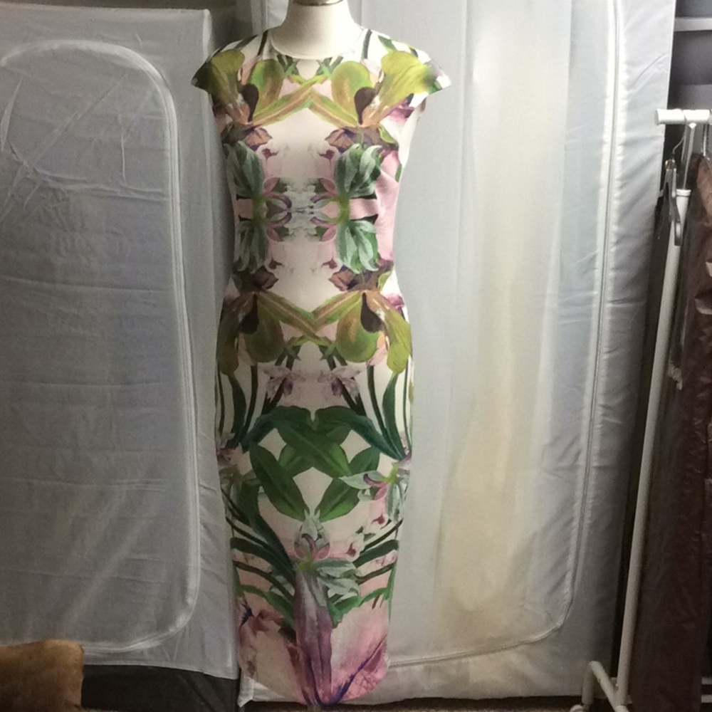Ted Baker dress
